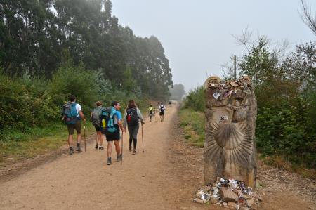 Camino 5